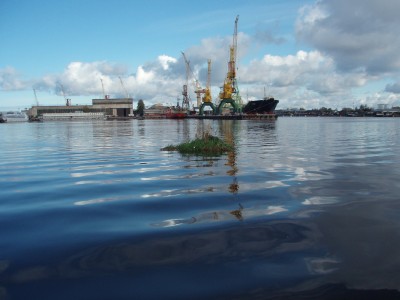 Daugava 12.10.12 011.JPG