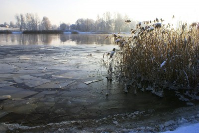 Булюпе сегодня.