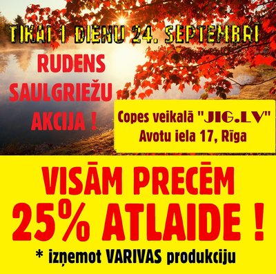 rudens saulgrieži.jpg