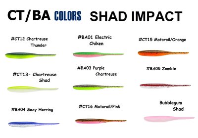 CT new gamma SHAD IMPACT 2020.jpg