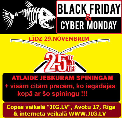 BLACK FRIDAY 2021.png