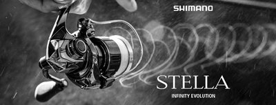 Dealer_Facebook Banner_Stella Reel_828px x 315px_LIFESTYLE.jpg