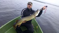 Аватара пользователя