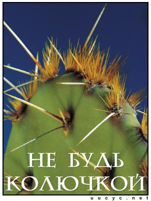 acantha.jpg