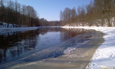 IMAG0217.jpg