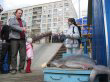 shark_in_neva_2_converted.png