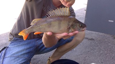 DSC_0302[1].jpg