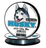 Husky.jpg