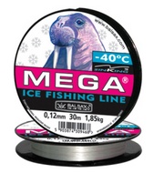 Mega.jpg