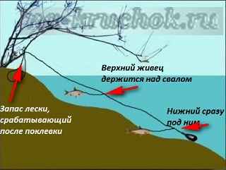 Ustanovka_postavushi_2.jpg