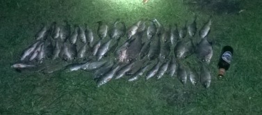 WP_20140920_001.jpg