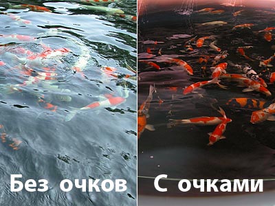 fishing-polarized-glasses.jpg