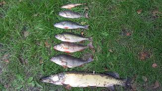 20150911_165818.jpg