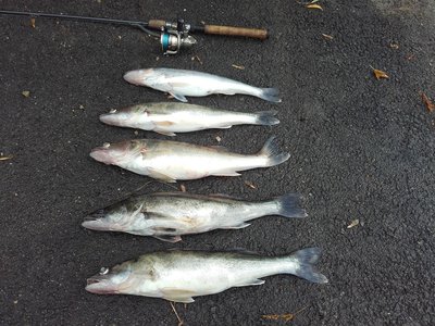 20151010_155237.jpg
