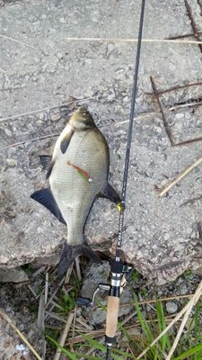 IMG_20160530_4348.jpg
