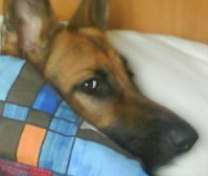 DSC00126.JPG